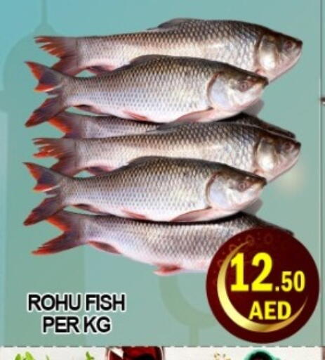 available at Green Gift Department Store in UAE - Dubai