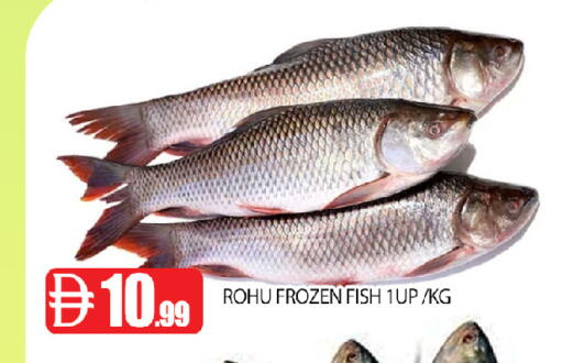 available at عين المدينة هايبرماركت in الإمارات العربية المتحدة , الامارات - الشارقة / عجمان