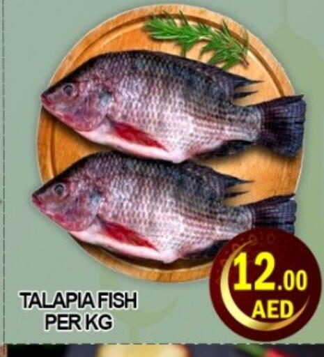 available at Green Gift Department Store in UAE - Dubai