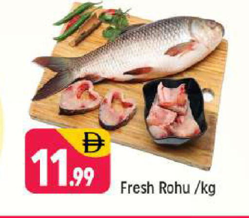 available at Shaklan  in UAE - Dubai