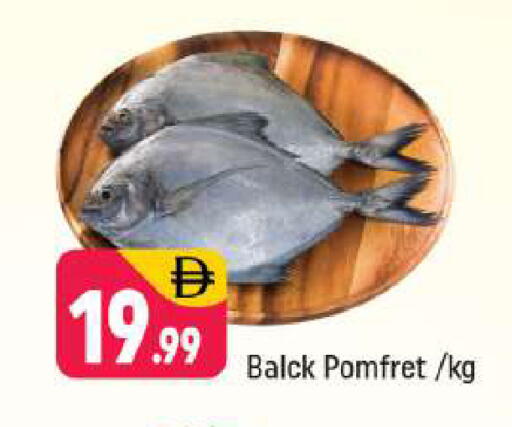 available at Shaklan  in UAE - Dubai