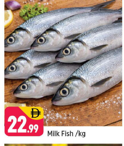 available at Shaklan  in UAE - Dubai