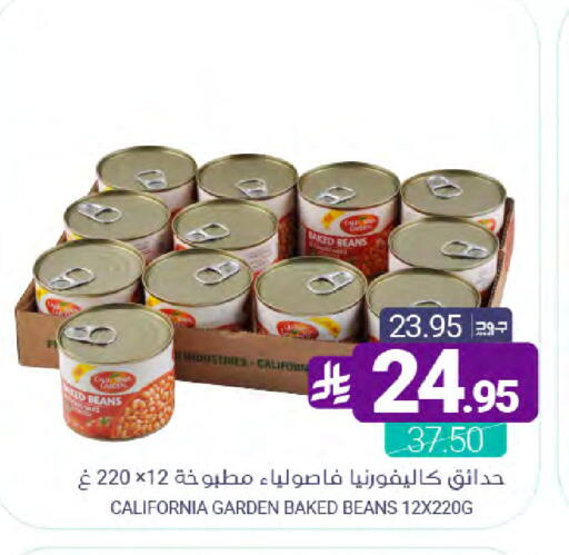 available at Muntazah Markets in KSA, Saudi Arabia, Saudi - Dammam