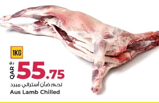available at روابي هايبرماركت in قطر - أم صلال