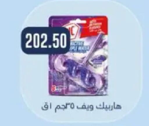 available at ابا ماركت in Egypt - القاهرة