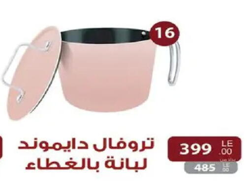 available at Raneen in Egypt - Cairo
