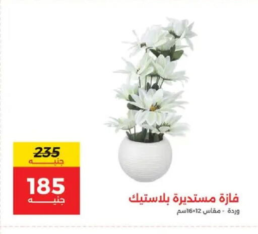 available at Raneen in Egypt - Cairo