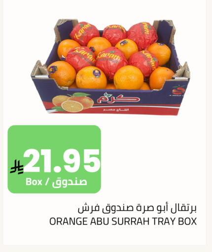 Orange available at Astra Markets in KSA, Saudi Arabia, Saudi - Tabuk