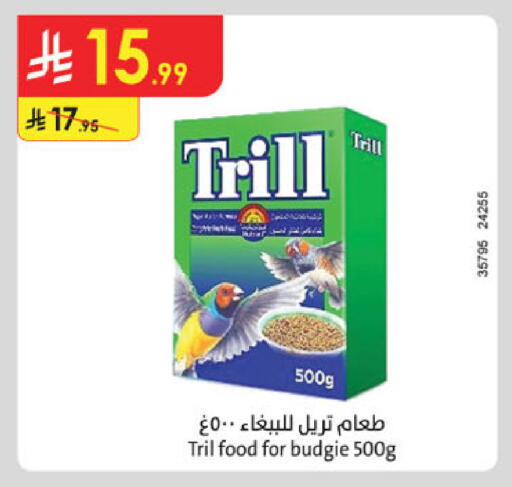 available at Danube in KSA, Saudi Arabia, Saudi - Tabuk