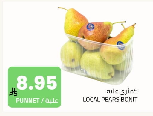 available at Astra Markets in KSA, Saudi Arabia, Saudi - Tabuk