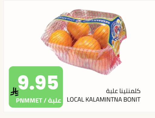 available at Astra Markets in KSA, Saudi Arabia, Saudi - Tabuk
