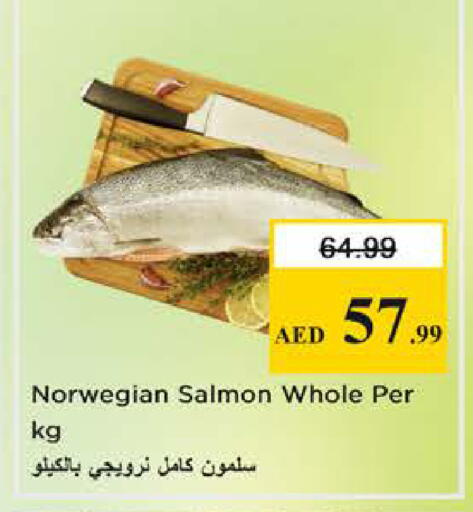 available at نستو هايبرماركت in الإمارات العربية المتحدة , الامارات - الشارقة / عجمان