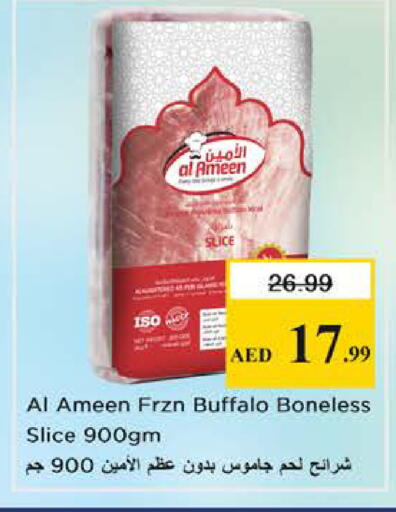 available at نستو هايبرماركت in الإمارات العربية المتحدة , الامارات - الشارقة / عجمان