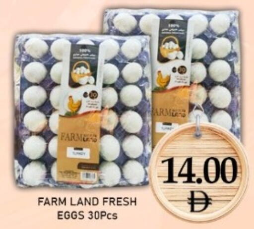 available at متجر الهدايا الخضراء in الإمارات العربية المتحدة , الامارات - أبو ظبي