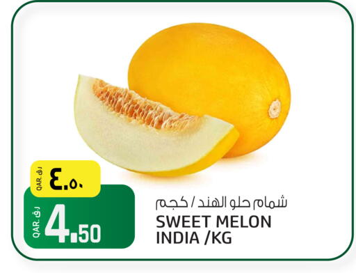 Melon from India available at Saudia Hypermarket in Qatar - Al Shamal