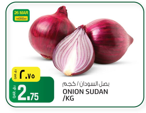 Onion from Sudan available at السعودية in قطر - الدوحة