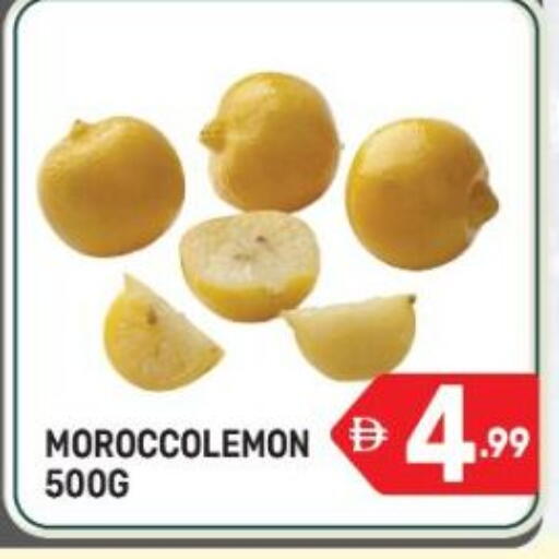 available at دريم نايت هايبرماركت in الإمارات العربية المتحدة , الامارات - دبي