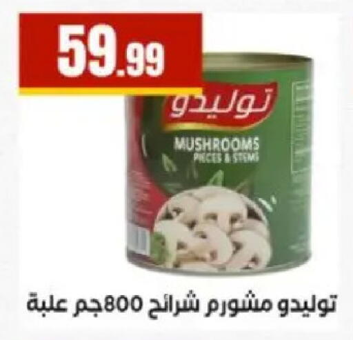 available at المحلاوي ستورز in Egypt - القاهرة
