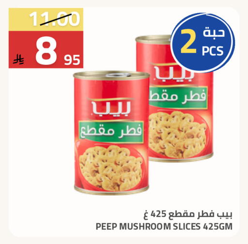 Mushroom available at Astra Markets in KSA, Saudi Arabia, Saudi - Tabuk