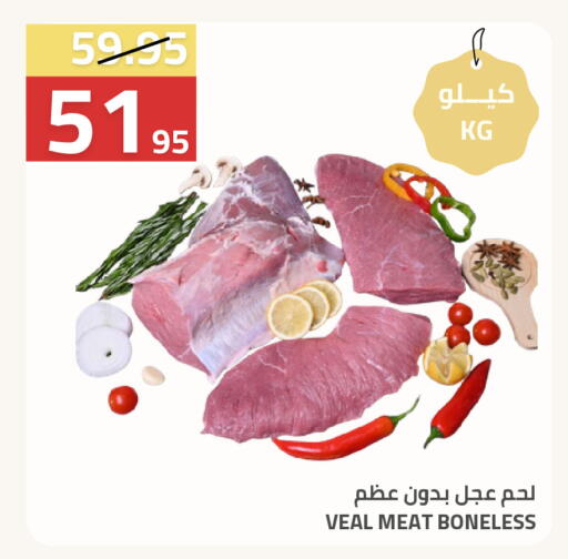 available at أسواق أسترا in مملكة العربية السعودية, السعودية, سعودية - تبوك