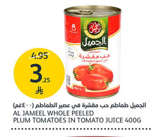 Plum Tomato available at مركز الجزيرة للتسوق in مملكة العربية السعودية, السعودية, سعودية - الرياض