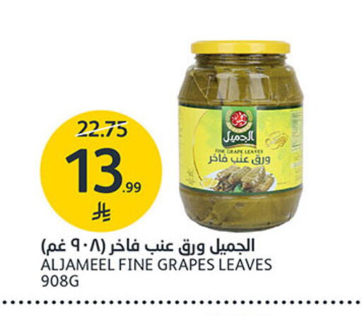 Grapes available at مركز الجزيرة للتسوق in مملكة العربية السعودية, السعودية, سعودية - الرياض