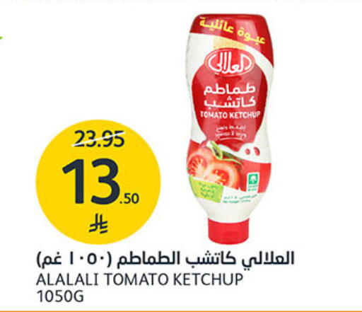 Tomato available at مركز الجزيرة للتسوق in مملكة العربية السعودية, السعودية, سعودية - الرياض