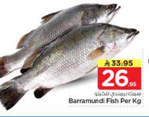 available at نستو in مملكة العربية السعودية, السعودية, سعودية - الرياض