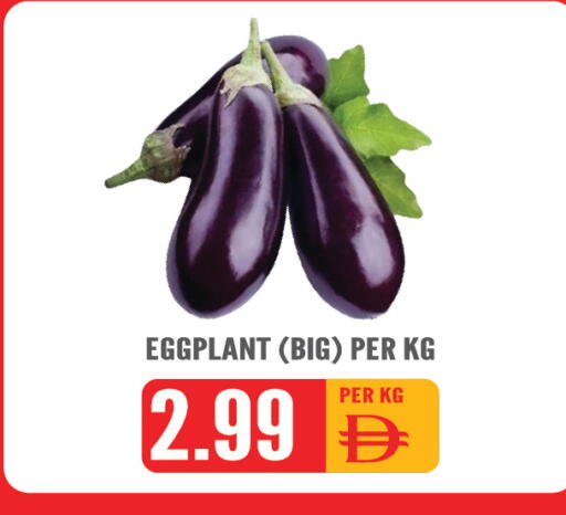 Eggplant available at دريم لاند in الإمارات العربية المتحدة , الامارات - الشارقة / عجمان