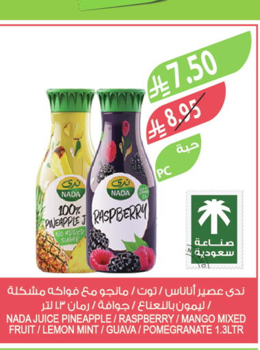 Pineapple Raspberry Mango Lemon Guava Pomegranate Mint available at Farm  in KSA, Saudi Arabia, Saudi - Jazan