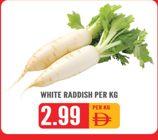 available at دريم لاند in الإمارات العربية المتحدة , الامارات - الشارقة / عجمان