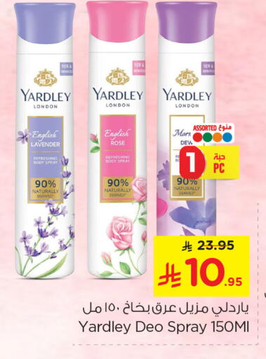 available at نستو in مملكة العربية السعودية, السعودية, سعودية - المنطقة الشرقية