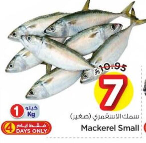 available at نستو in مملكة العربية السعودية, السعودية, سعودية - الرياض