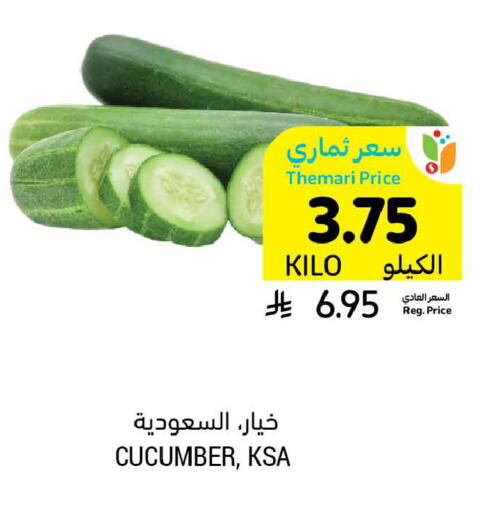 Cucumber available at Tamimi Market in KSA, Saudi Arabia, Saudi - Buraidah