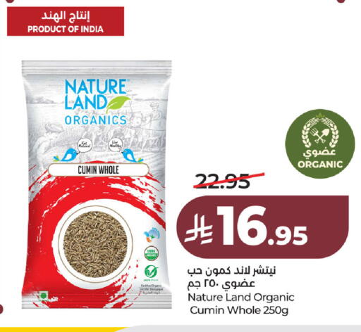 Cumin available at LULU Hypermarket in KSA, Saudi Arabia, Saudi - Al Khobar