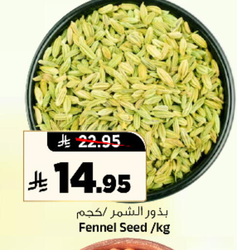 Fennel available at المدينة هايبرماركت in مملكة العربية السعودية, السعودية, سعودية - الرياض