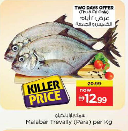 available at نستو هايبرماركت in الإمارات العربية المتحدة , الامارات - أبو ظبي