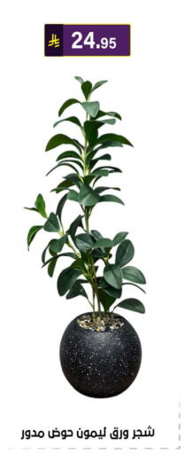 available at الحسين توب أب in مملكة العربية السعودية, السعودية, سعودية - الرياض