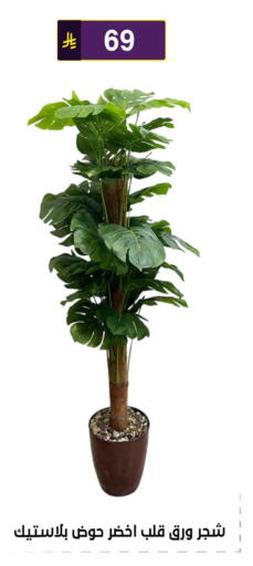 available at Al Hussain Top Up in KSA, Saudi Arabia, Saudi - Riyadh