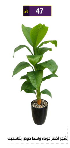 available at Al Hussain Top Up in KSA, Saudi Arabia, Saudi - Riyadh