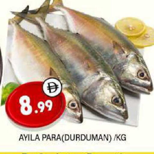 available at المدينة in الإمارات العربية المتحدة , الامارات - الشارقة / عجمان