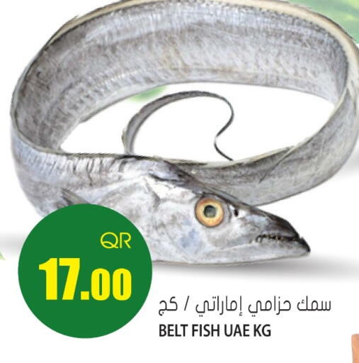available at جراند هايبرماركت in قطر - الوكرة