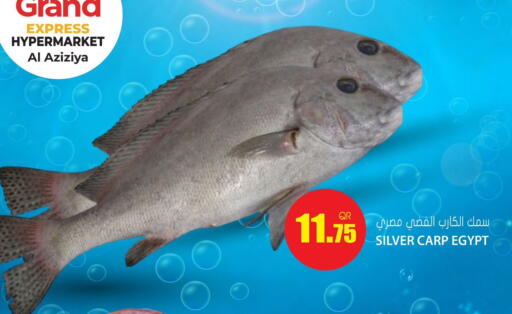 available at Grand Hypermarket in Qatar - Al Daayen