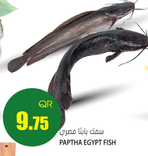 available at جراند هايبرماركت in قطر - الوكرة