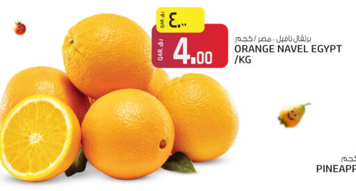 available at كنز ميني مارت in قطر - الضعاين