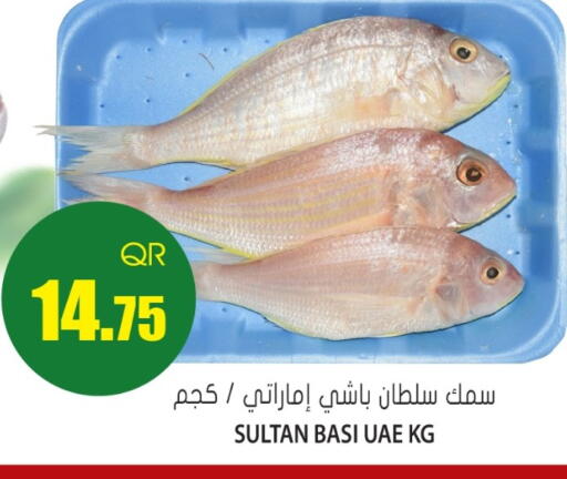 available at Grand Hypermarket in Qatar - Al Daayen