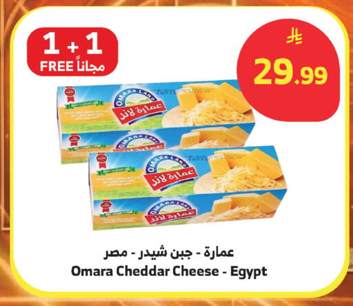 available at الراية in مملكة العربية السعودية, السعودية, سعودية - أبها