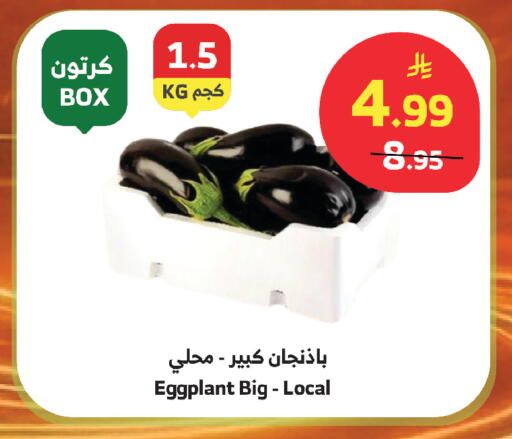 Eggplant available at الراية in مملكة العربية السعودية, السعودية, سعودية - أبها