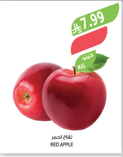 Apple available at المزرعة in مملكة العربية السعودية, السعودية, سعودية - جازان