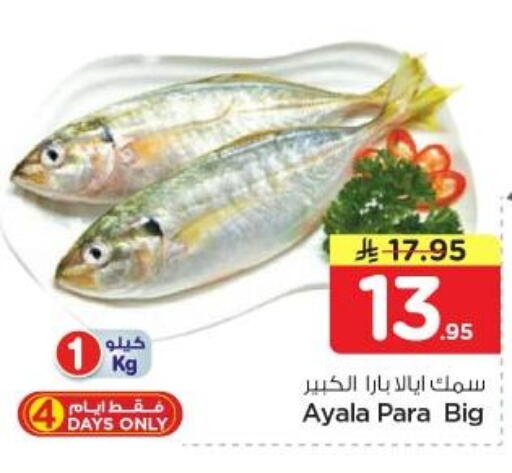 available at نستو in مملكة العربية السعودية, السعودية, سعودية - الرياض